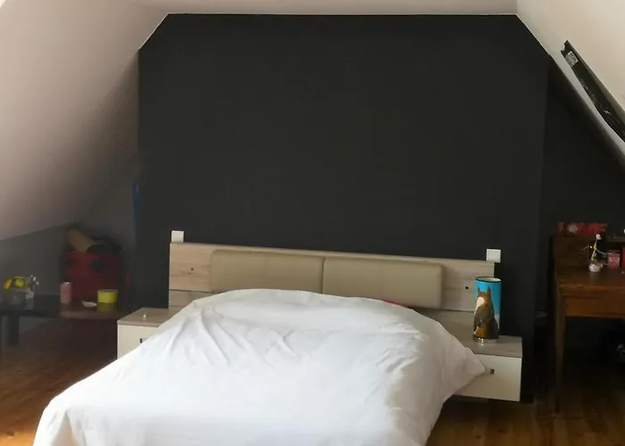 Maison Spacieuse Avec Piscine Chauffee Souille